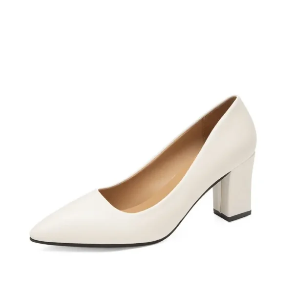 2025 Autumn New Work Simple Fashion High Heels Pointed Toe Thick Heel Shallow Mouth Ladies Shoes